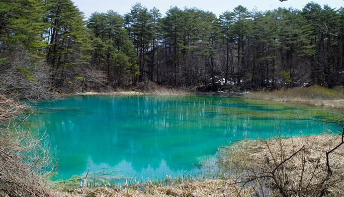 福島県『五色沼』の美しい小沼を巡るスマホ電波探検隊