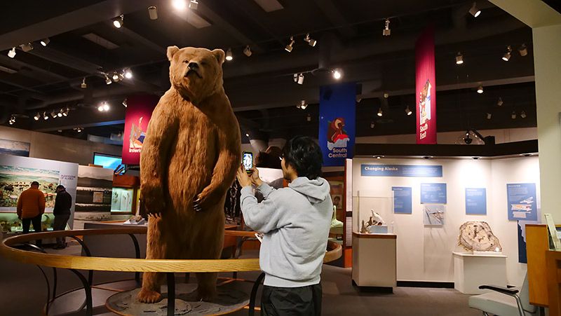  アラスカの博物館