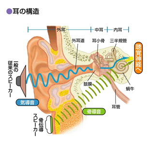 骨伝導