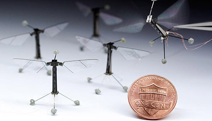 『バイオミミクリー』（生物模倣）はここまで進化していた！ 驚きの虫型ロボット