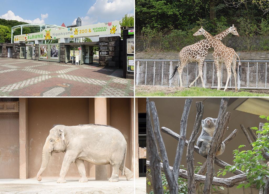 東山動植物園の動物たち