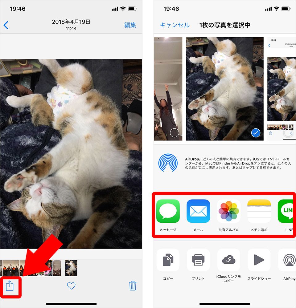 iPhone 写真共有