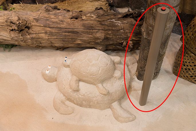 お台場・浦ちゃんの家の室内にいる砂でできた親子亀