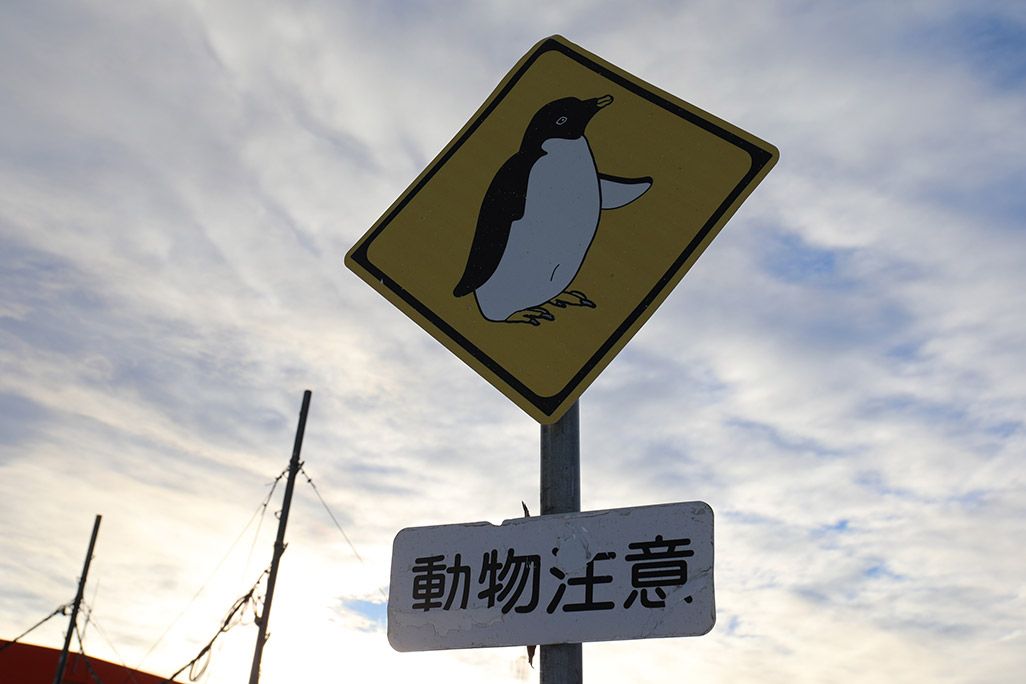 南極に設置された動物注意の標識
