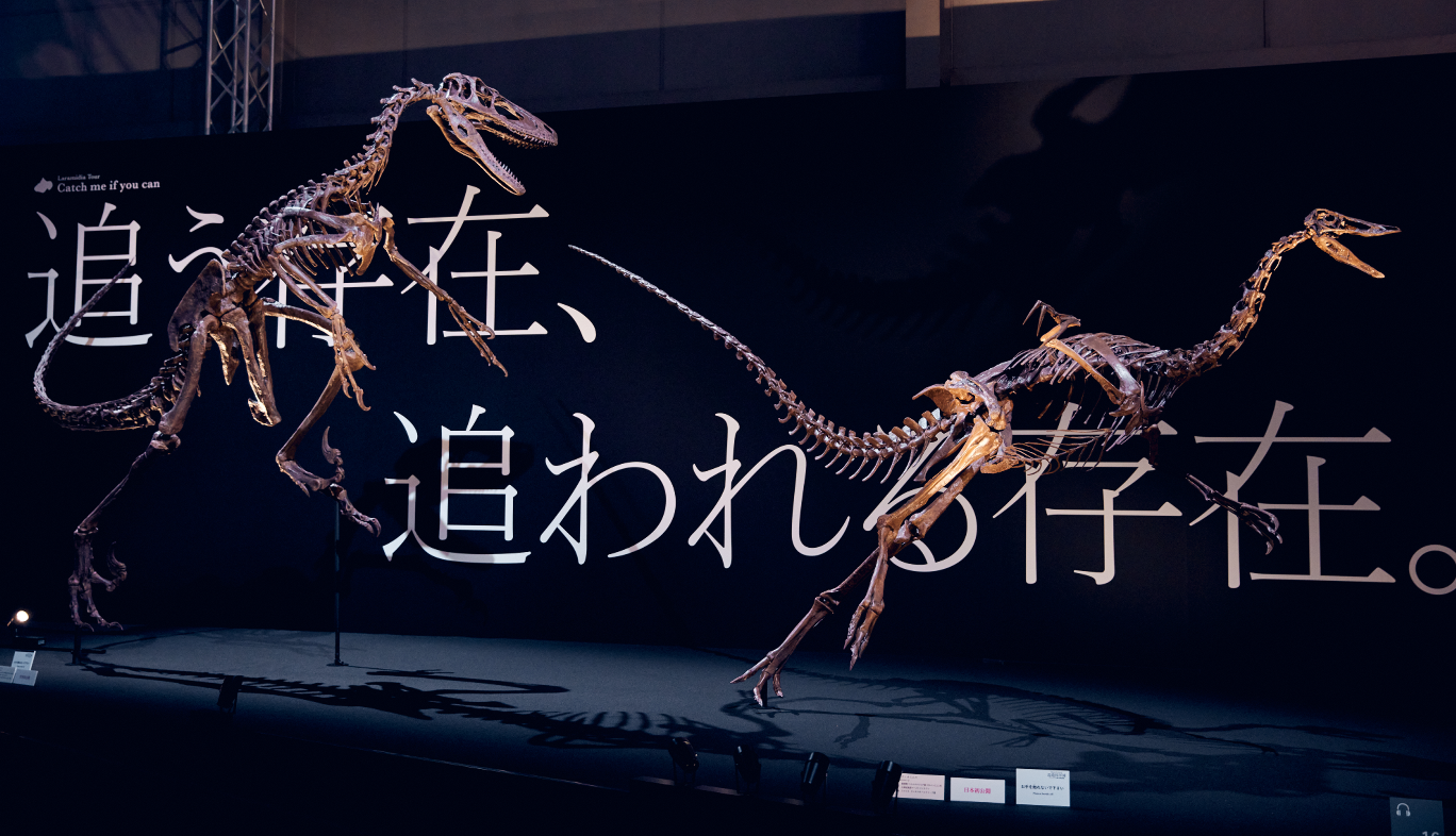 DinoScience 恐竜科学博のダコタラプトルの骨格標本