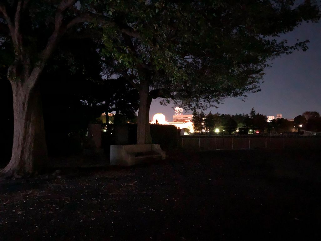 iPhone Xで夜の公園を撮影