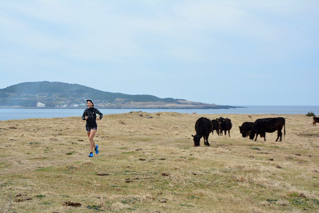 小値賀島の長崎鼻を走る浦谷美帆さんと草を食む牛