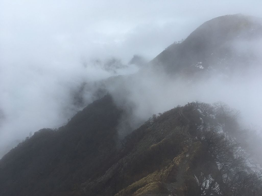 濃霧に包まれる登山道