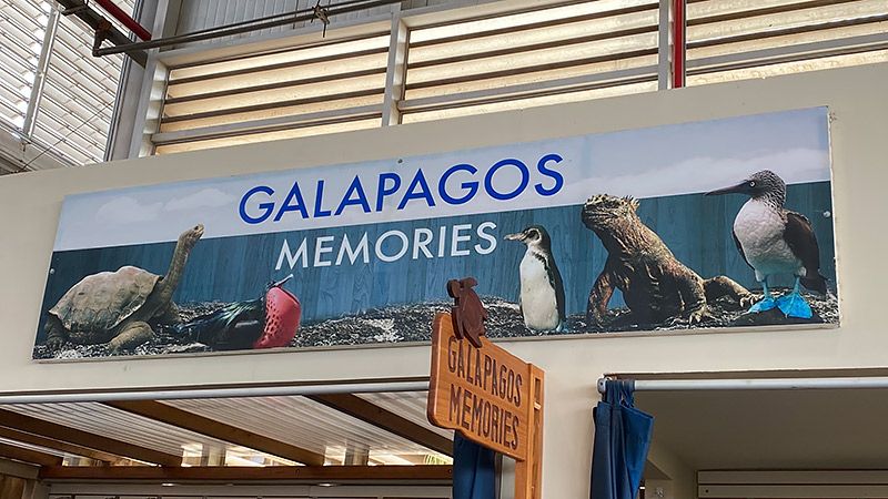 ガラパゴスの空港にある動物の看板