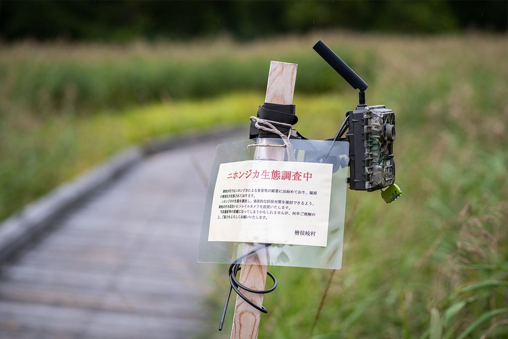 尾瀬・御池田代エリアに設置されたKDDIの自動撮影カメラ