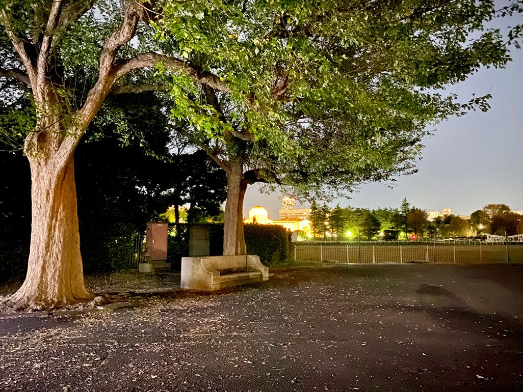 iPhone 11 Pro Maxのナイトモードで夜の公園を撮影