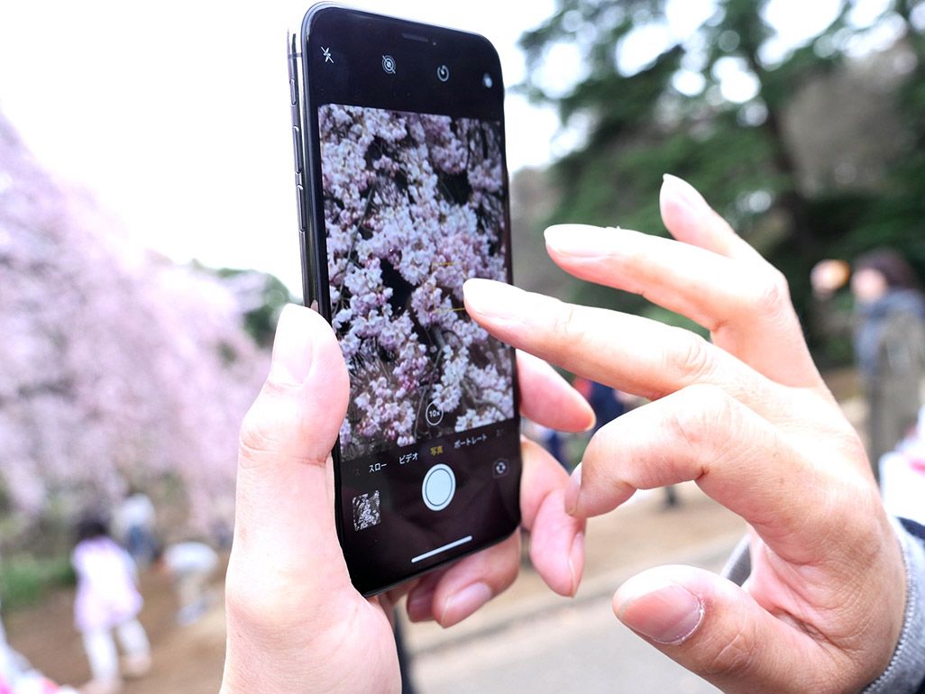 iPhone Xで桜を撮影