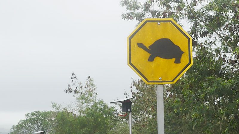 ガラパゴスゾウガメの標識