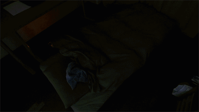 自室の布団で寝ている地主のGIF動画その2