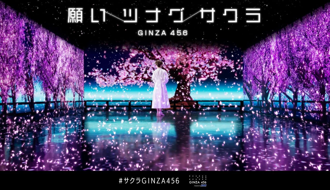 幻想的な世界に没入できるお花見体験！GINZA 456の「願いツナグサクラ」の魅力とその舞台裏