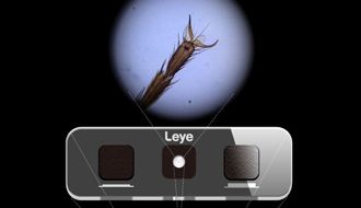 スマートフォンに取り付けるだけでミクロの世界がカンタンに楽しめる スマホ顕微鏡『Leye（エルアイ）』
