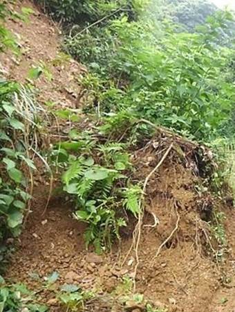 工事中に土砂崩れが起こった箇所
