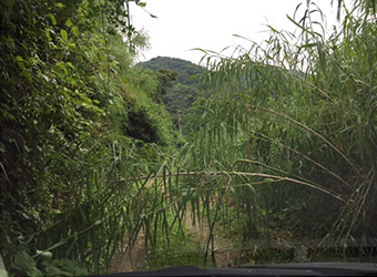 工事中に土砂崩れが起こった箇所