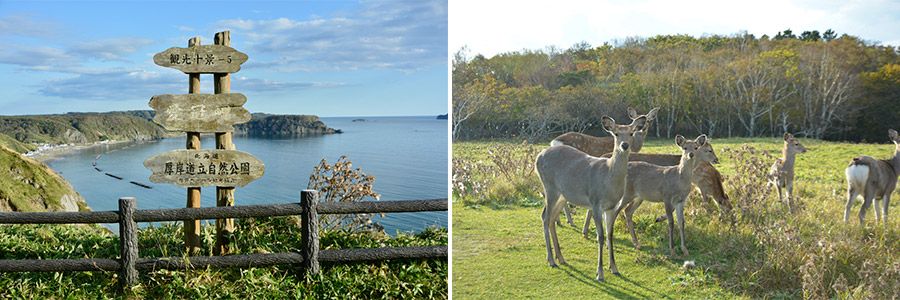 北海道厚岸町の景色
