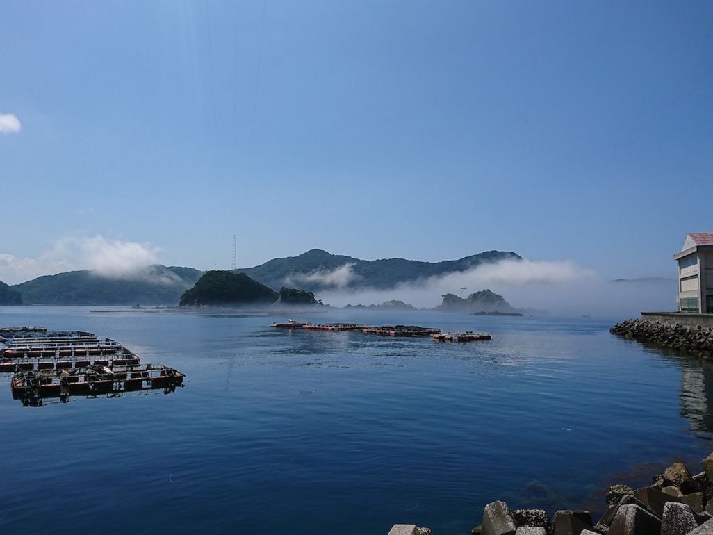 嘉島の沿岸の様子