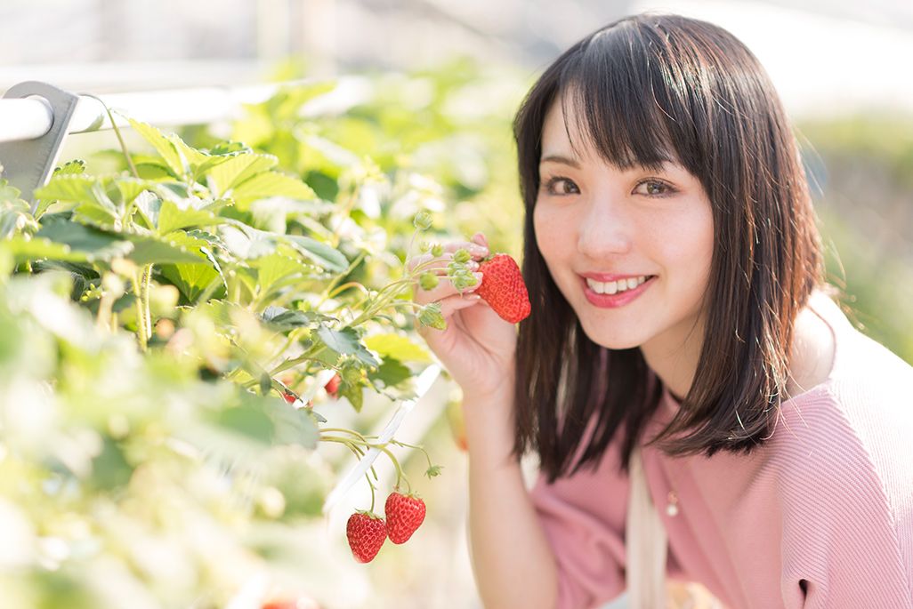 「高梨農園」でイチゴ狩りをする伊藤桃