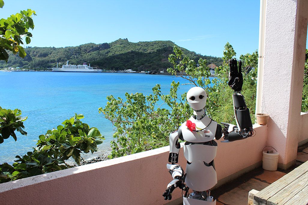 小笠原海洋センターに派遣されたTelexistence社のロボット・MODEL H